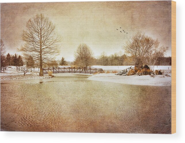 Lake Wood Print featuring the photograph Water Under the Bridge by Mary Timman