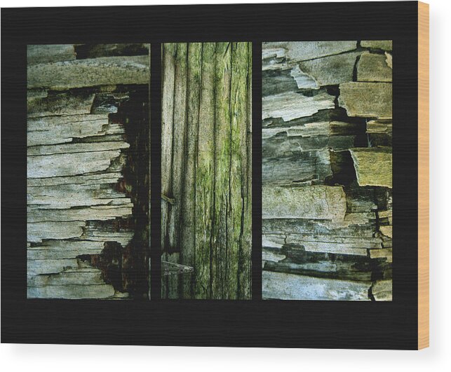 Fine Art Photography Wood Print featuring the photograph Weathered by Ann Powell