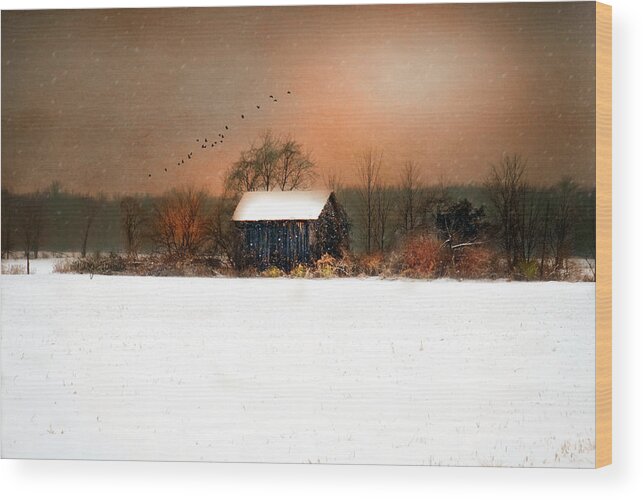 Birds Wood Print featuring the photograph Weathered by Mary Timman