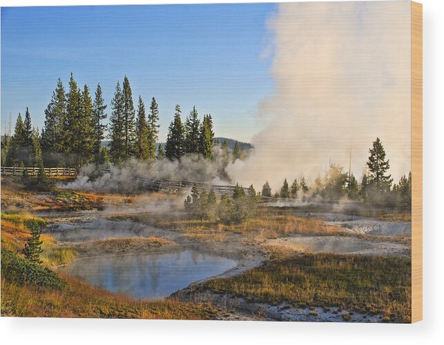 Yellowstone Wood Print featuring the photograph West Thumb Basin in Yellowstone by Betty Eich