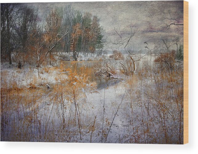 Snow Wood Print featuring the photograph Winter Wonderland by Mary Timman