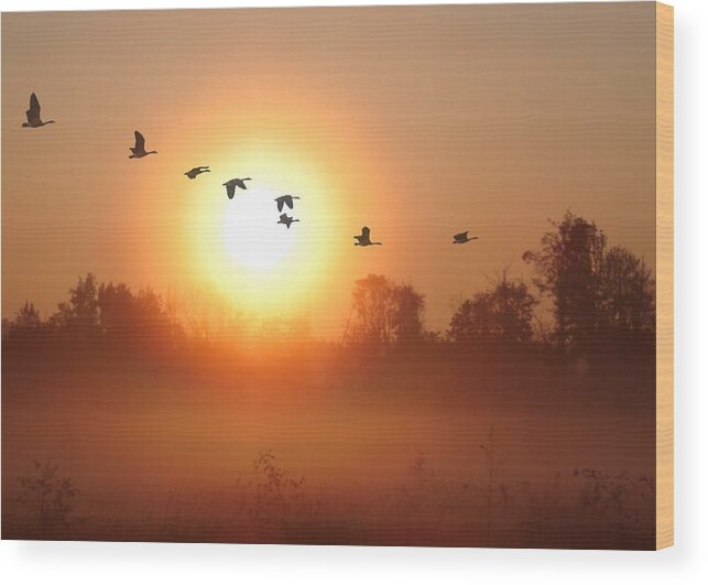 Canada Geese Wood Print featuring the digital art Returning South by I'ina Van Lawick