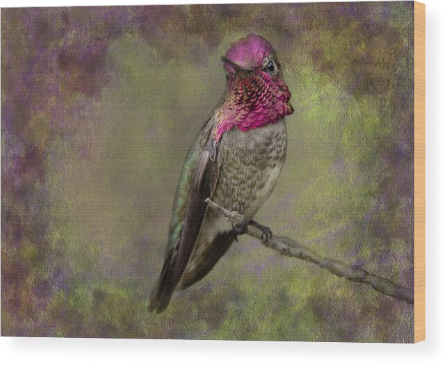 Hummingbird Wood Print featuring the photograph Anna's Hummingbird #2 by Barbara Manis