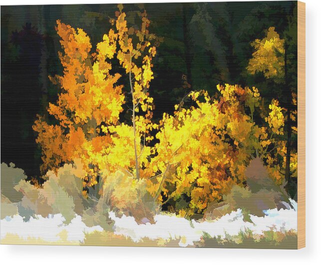 Watercolor Wood Print featuring the digital art Aspen Glow #1 by Gary Baird