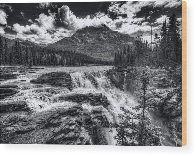 Athabasca Wood Print featuring the photograph Athabasca Falls #1 by Wayne Sherriff