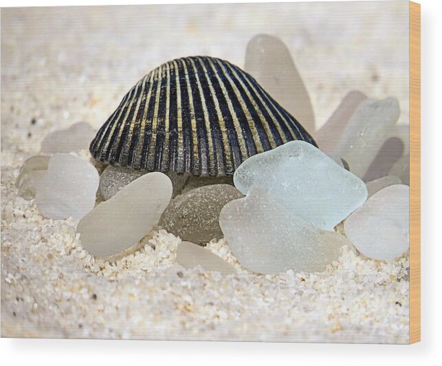 Black Wood Print featuring the photograph Black and White Sea Glass by Janice Drew