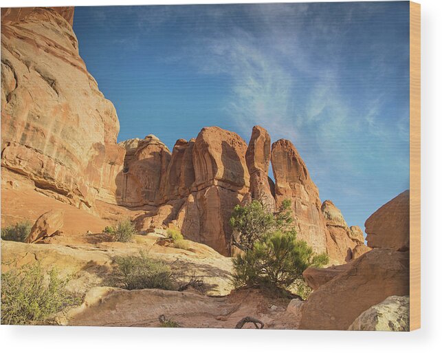Canyonlands National Park Wood Print featuring the photograph Chesler sunset #1 by Kunal Mehra