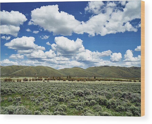 Colorado Wood Print featuring the photograph Colorado Vista #1 by Mountain Dreams