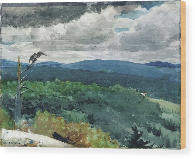 Winslow Homer Wood Print featuring the drawing Hilly Landscape #2 by Winslow Homer