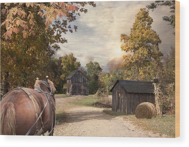 Horse Wood Print featuring the photograph Homeward Bound #1 by Robin-Lee Vieira