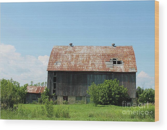 Barn Wood Print featuring the photograph Old Country Barn II by Nina Silver