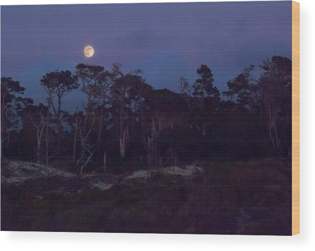 Moon Wood Print featuring the photograph Pebble Beach Moonrise by Derek Dean