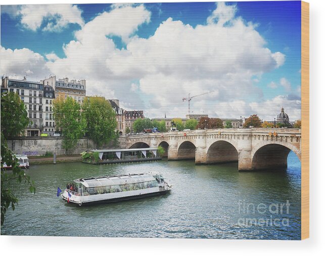 Paris Wood Print featuring the photograph Pont Neuf, Paris, France #2 by Anastasy Yarmolovich