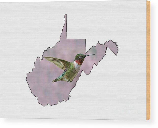 Green And Red; The Ruby-throated Hummingbird; Hummingbird; Bird; Hummingbird Wood Print featuring the photograph Ruby-throated Hummingbird beautiful coloring #2 by Dan Friend