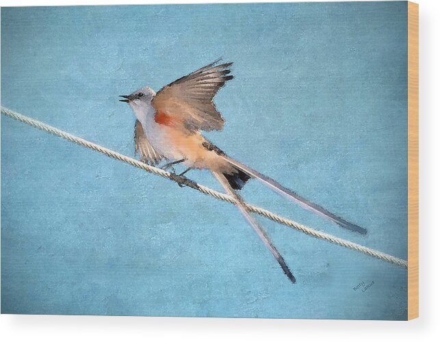Scissor-tailed Flycatcher Wood Print featuring the photograph Scissor-tailed Flycatcher #1 by Betty LaRue