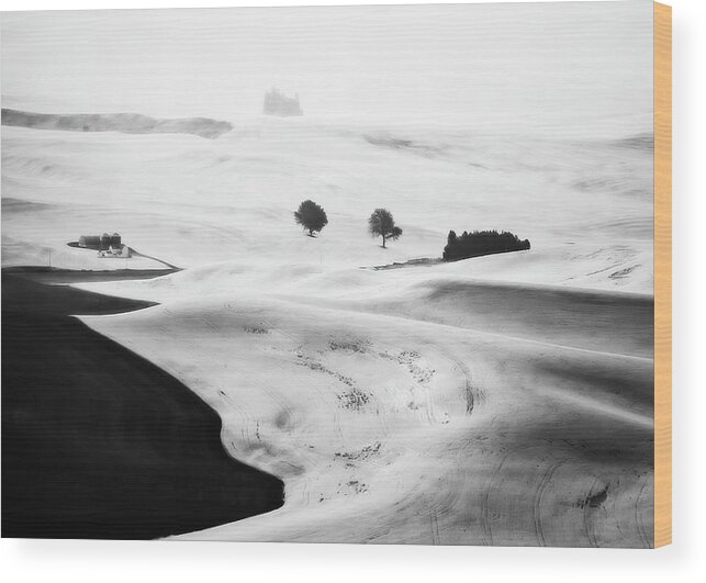 America Wood Print featuring the photograph Somewhere in the Palouse #1 by Eduard Moldoveanu