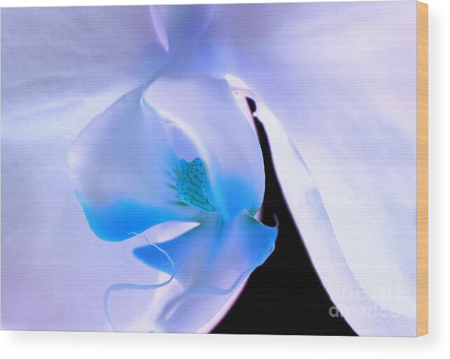 Orchid Wood Print featuring the photograph Take My Breath Away #1 by Krissy Katsimbras