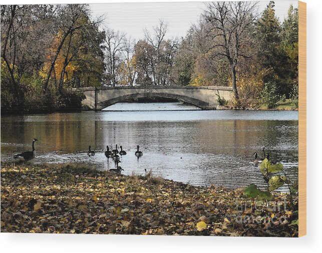 Nature Wood Print featuring the photograph Tenney Park by Gary Everson