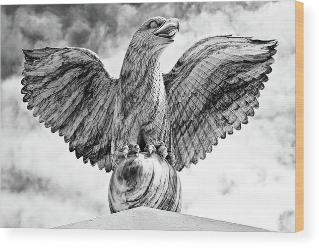 Aggressive Wood Print featuring the photograph Victorious Eagle of Marble #1 by Yurix Sardinelly