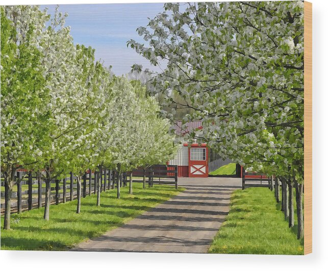 Landscape Wood Print featuring the photograph Welcome to Birch Creek Farm #1 by Sami Martin