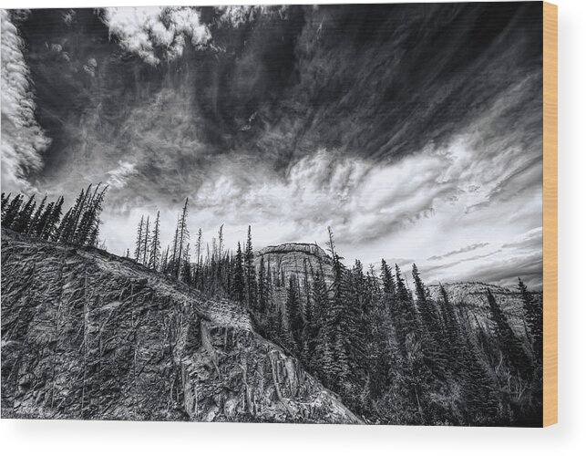 Beauty Wood Print featuring the photograph Wilderness by Wayne Sherriff