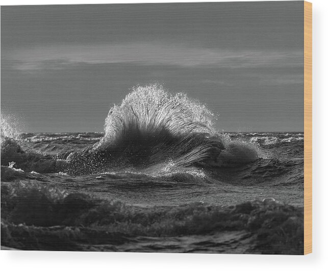 Lake Erie Wood Print featuring the photograph Lake Erie Waves #11 by Dave Niedbala