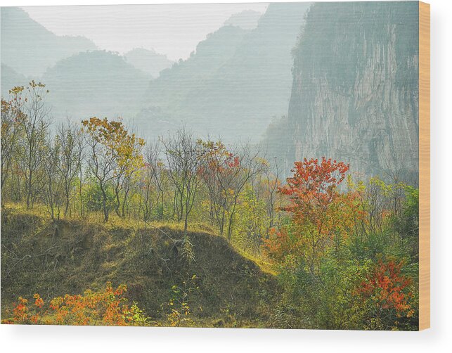 Red Wood Print featuring the photograph The colorful autumn scenery #17 by Carl Ning