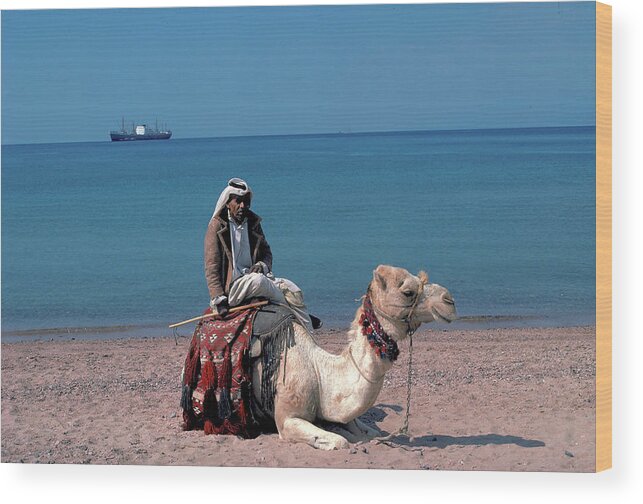Man Wood Print featuring the photograph Arab on Camel at Red Sea #2 by Carl Purcell