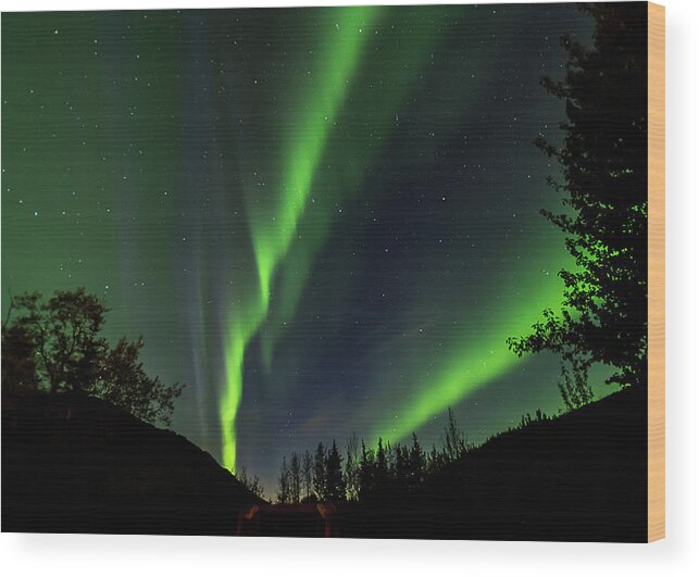 Denali Wood Print featuring the photograph Northern lights, aurora borealis at Kantishna Lodge in Denali National Park #2 by Brenda Jacobs