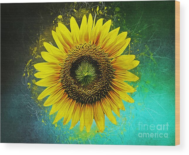 Sunflower Wood Print featuring the mixed media Sunflower #2 by Ian Mitchell