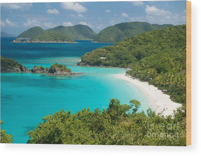 Virgin Islands Wood Print featuring the photograph View of Trunk Bay on St John - United States Virgin Islands #2 by Anthony Totah