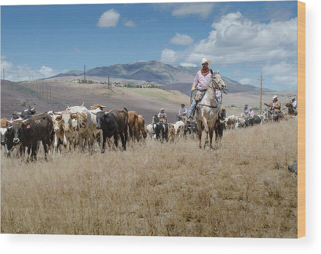 Reno Wood Print featuring the photograph 2016 Reno Cattle Drive 6 by Rick Mosher