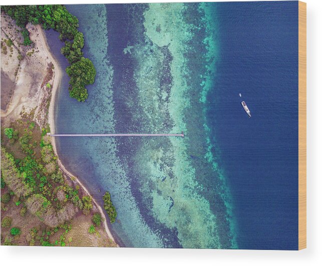  Wood Print featuring the photograph Komodo National Park #3 by Evgeny Vasenev