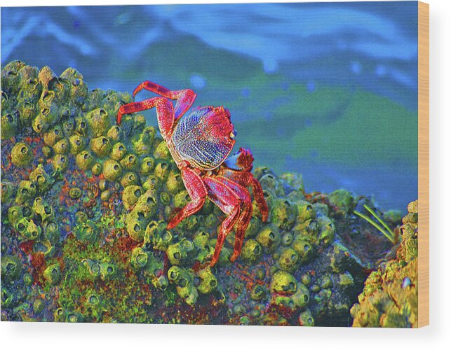 Crabs Wood Print featuring the digital art 37- The Precipice by Joseph Keane