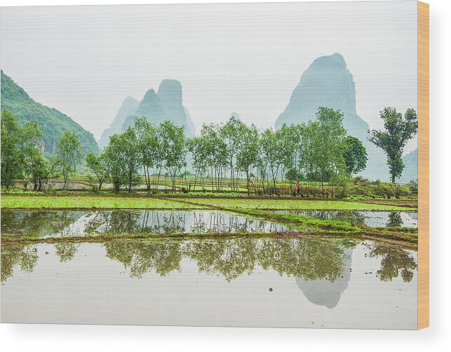 The Beautiful Karst Rural Scenery In Spring Wood Print featuring the photograph Karst rural scenery in spring #45 by Carl Ning