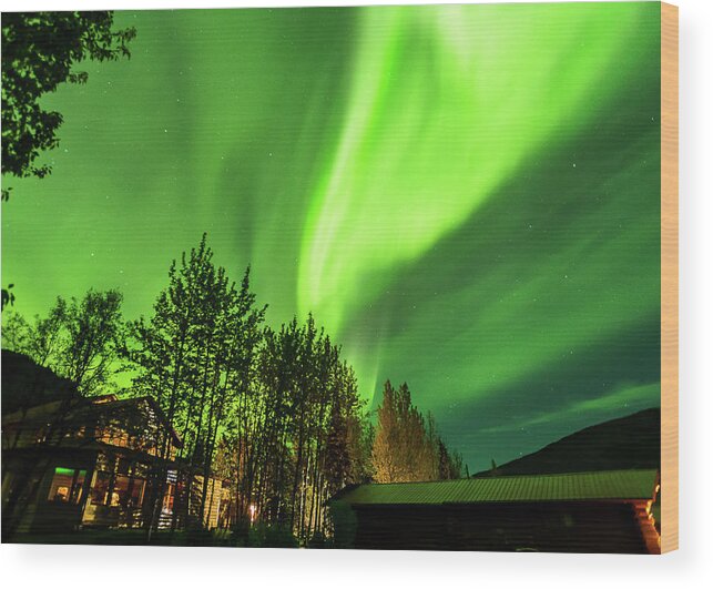 Denali Wood Print featuring the photograph Northern lights, aurora borealis at Kantishna Lodge in Denali National Park #5 by Brenda Jacobs