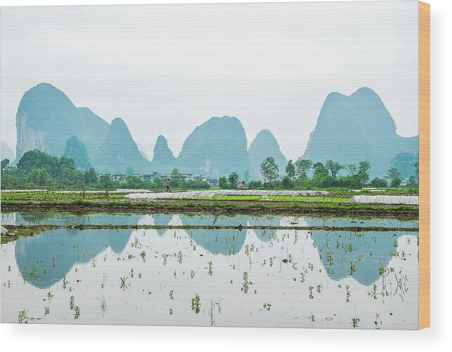The Beautiful Karst Rural Scenery In Spring Wood Print featuring the photograph Karst rural scenery in spring #55 by Carl Ning