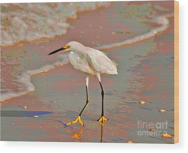 Snowy Egret Wood Print featuring the photograph 6- Snowy Egret by Joseph Keane