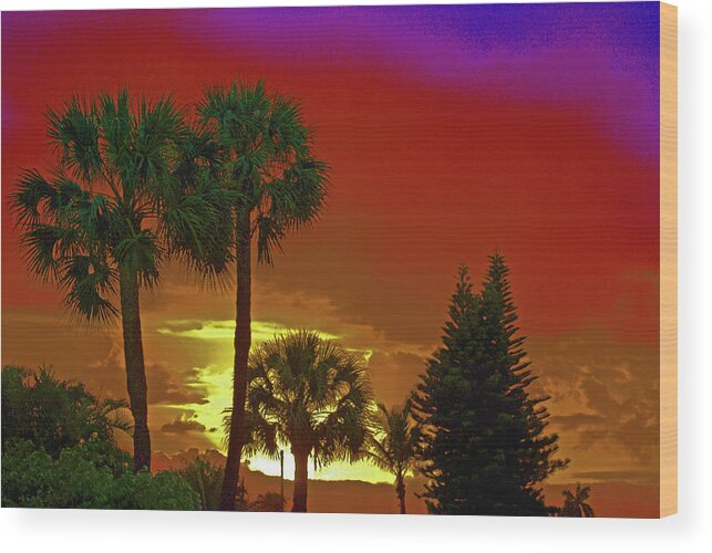 Paintings Wood Print featuring the digital art 7- Holiday by Joseph Keane
