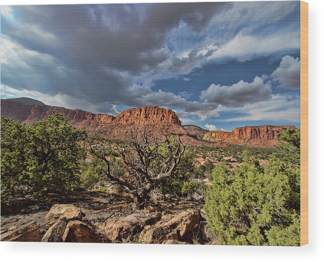 Capitol Reef National Park Wood Print featuring the photograph Capitol Reef National Park #724 by Mark Smith