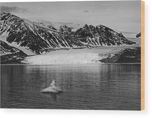 Arctic Wood Print featuring the photograph 79 Degrees North J by Terence Davis