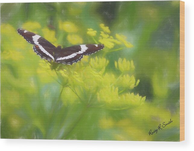 Summer Wood Print featuring the digital art A beautiful Swallowtail butterfly on a yellow wild flower by Rusty R Smith