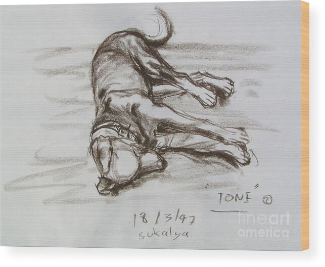Puppy Wood Print featuring the drawing A Big Puppy by Sukalya Chearanantana