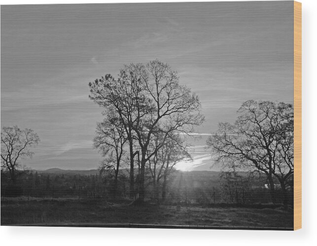Landscape Wood Print featuring the photograph A. M. by M Ryan