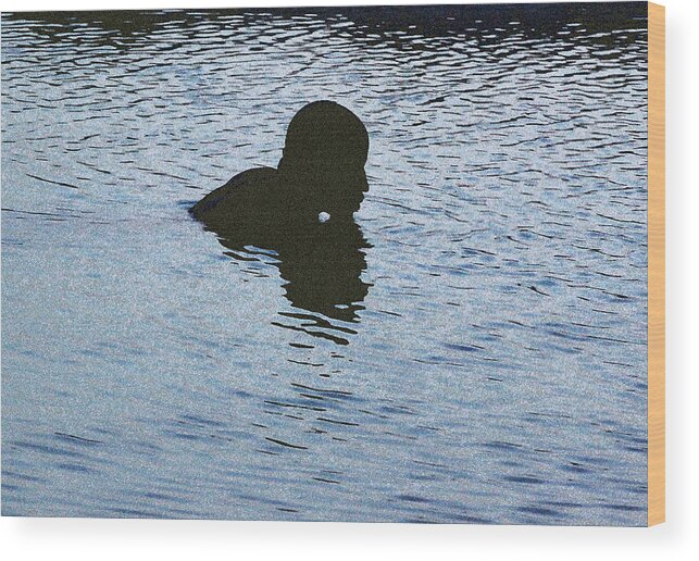 Silhouette Wood Print featuring the photograph Pond of Reflection by Ross Lewis