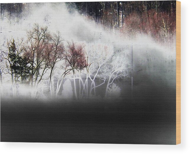 Dream Wood Print featuring the photograph A recurring dream by Steven Huszar