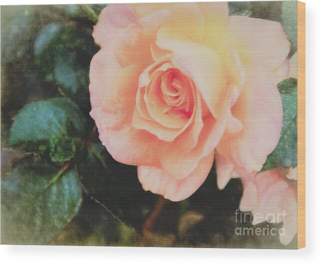 Nature Wood Print featuring the painting A Rose For Kathleen by Janice Pariza