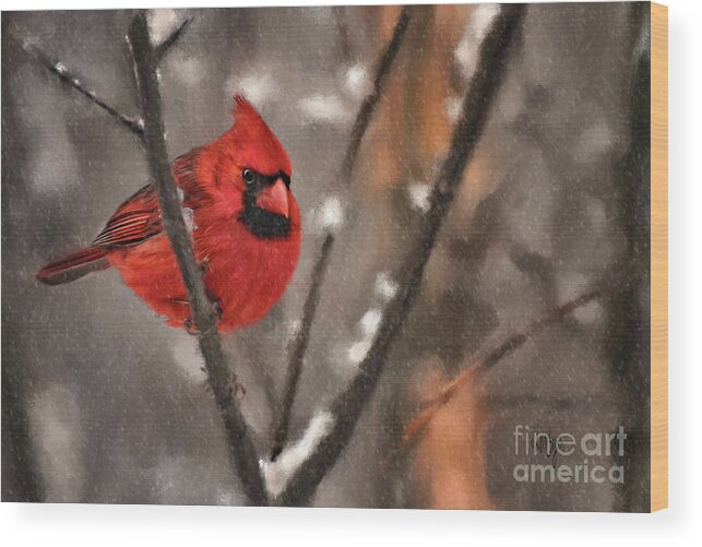 Cardinal Wood Print featuring the digital art A Spot Of Color by Lois Bryan