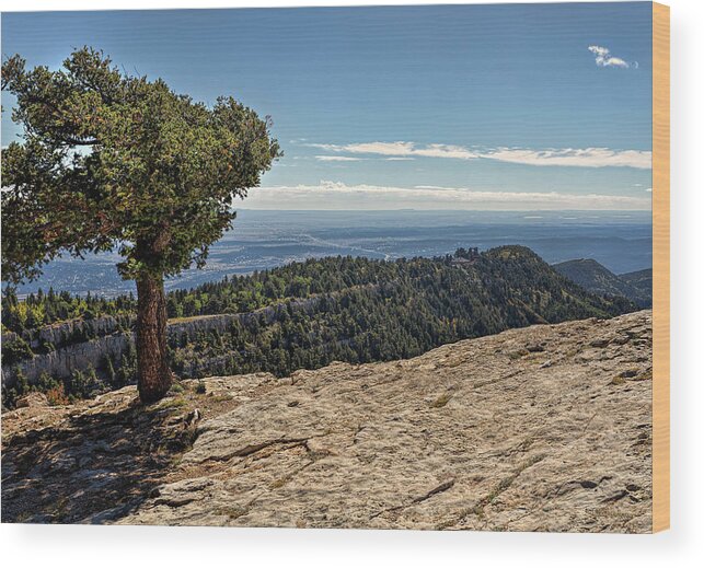 Landscape Wood Print featuring the photograph A Tree on the Edge by Michael McKenney