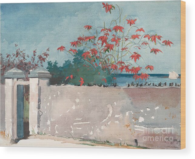 Gate Wood Print featuring the painting A Wall, Nassau, 1898 by Winslow Homer